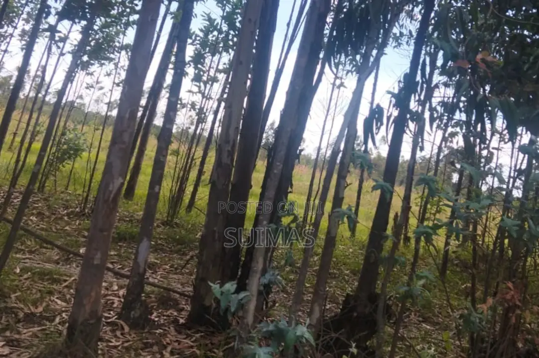 Chebes Land for Sale