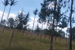 Chebes Land for Sale