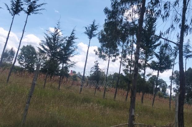 Chebes Land for Sale - thumbnail 3