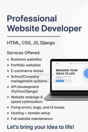 Professional Business Websites | Affordable Fast Delivery”