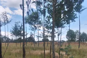 Residential Land for Sale in Chebes Nyandarua