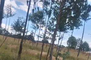 Residential Land for Sale in Chebes Nyandarua