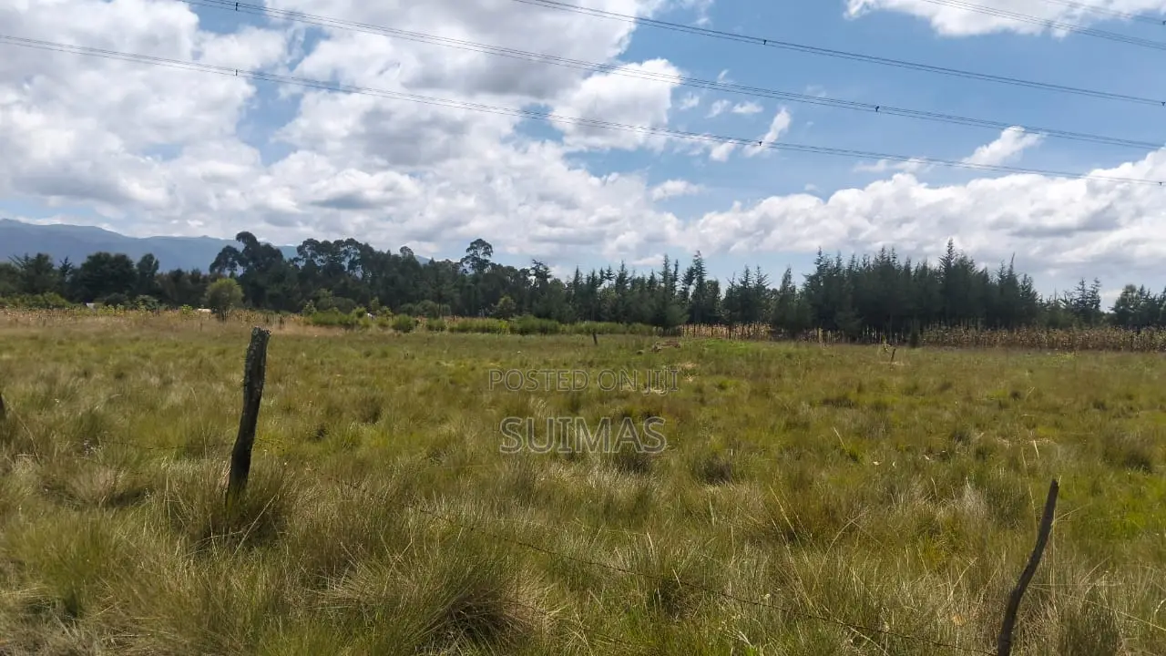 Nduha Land for Sale