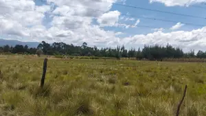 Nduha Land for Sale