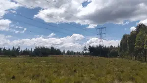 Nduha Land for Sale
