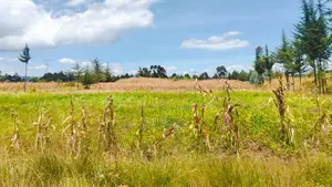 Sister’S 3 Acres Land for Sale Nduha Olkalou