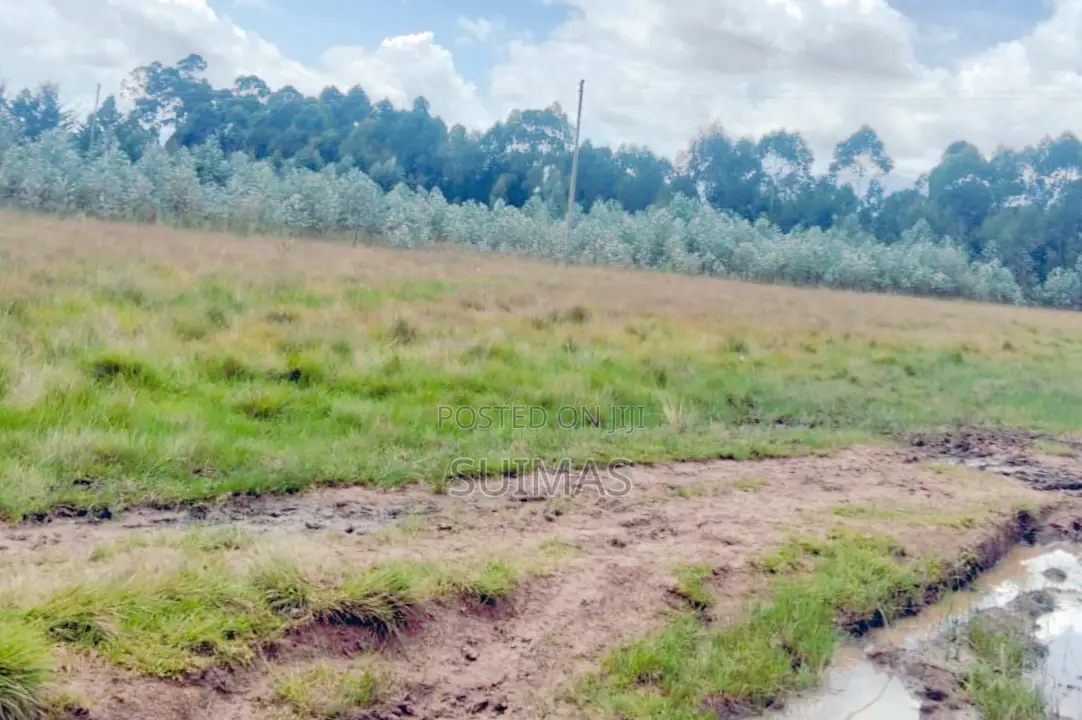 Sister’S 3 Acres Land for Sale Nduha Olkalou