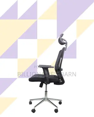 Office Mesh Chair With Lumbar Support | Ideal for Home Office