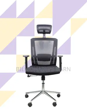 Office Mesh Chair With Lumbar Support | Ideal for Home Office