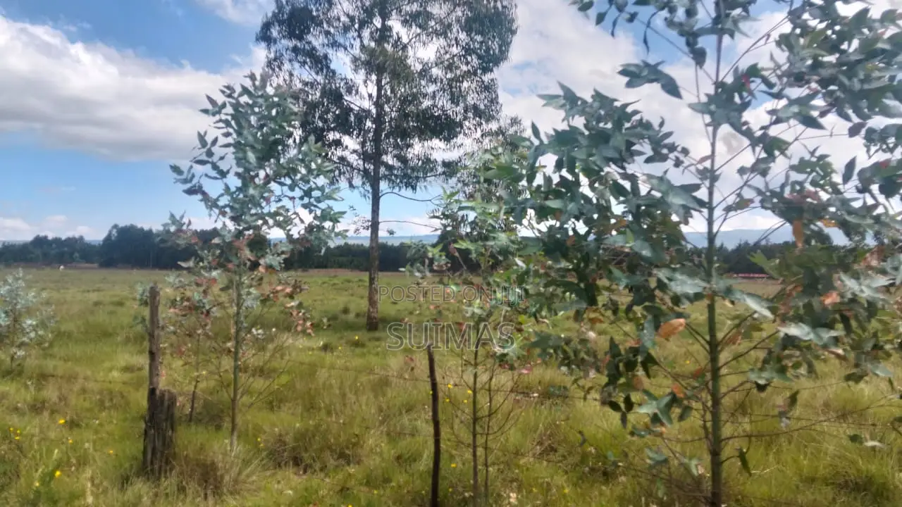 Kabubani Land for Sale