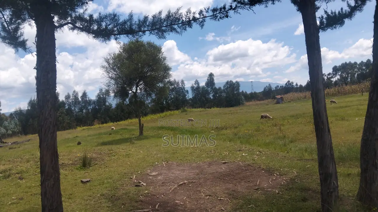 Residential Land for Sale in Kabubani