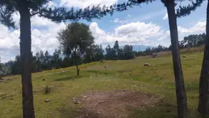 Residential Land for Sale in Kabubani