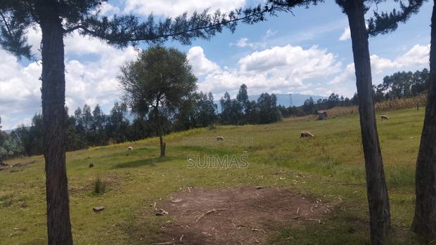 Residential Land for Sale in Kabubani