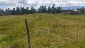 Residential Land for Sale in Kabubani