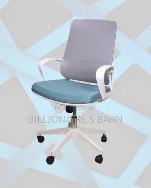 Quality Mobility Premium Ergonomic Smooth-Rolling | Order Yours Today