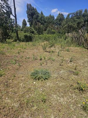 1⁄8 Acre Residential Plot in Ilula - thumbnail 2