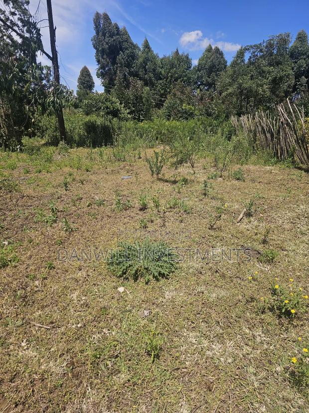 1⁄8 Acre Residential Plot in Ilula - main view