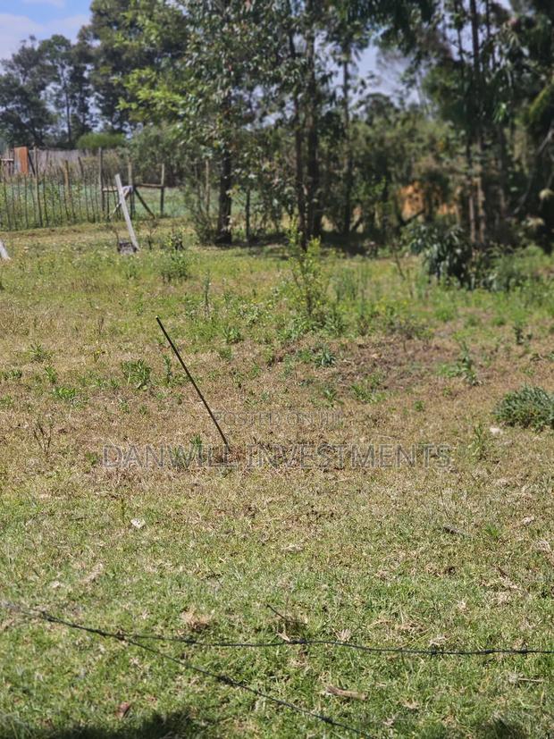 1⁄8 Acre Residential Plot in Ilula - thumbnail 3