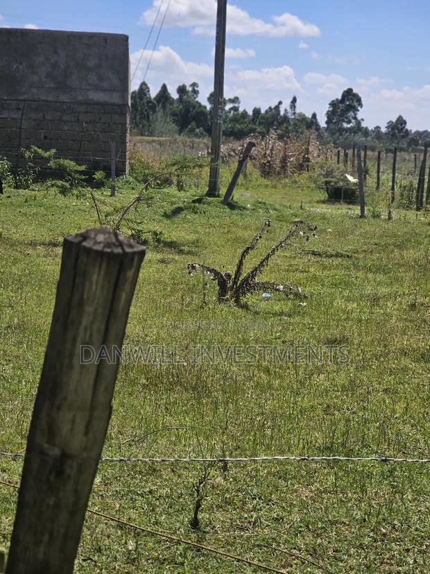 1⁄8 Acre Residential Plot in Ilula - thumbnail 4