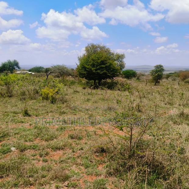 10.8 Acres on Red Soil - thumbnail 2