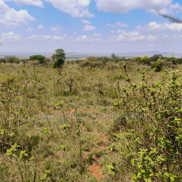 10.8 Acres on Red Soil - thumbnail 3