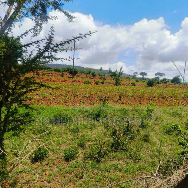 10.8 Acres on Red Soil - thumbnail 4