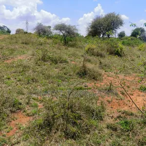 10.8 Acres on Red Soil