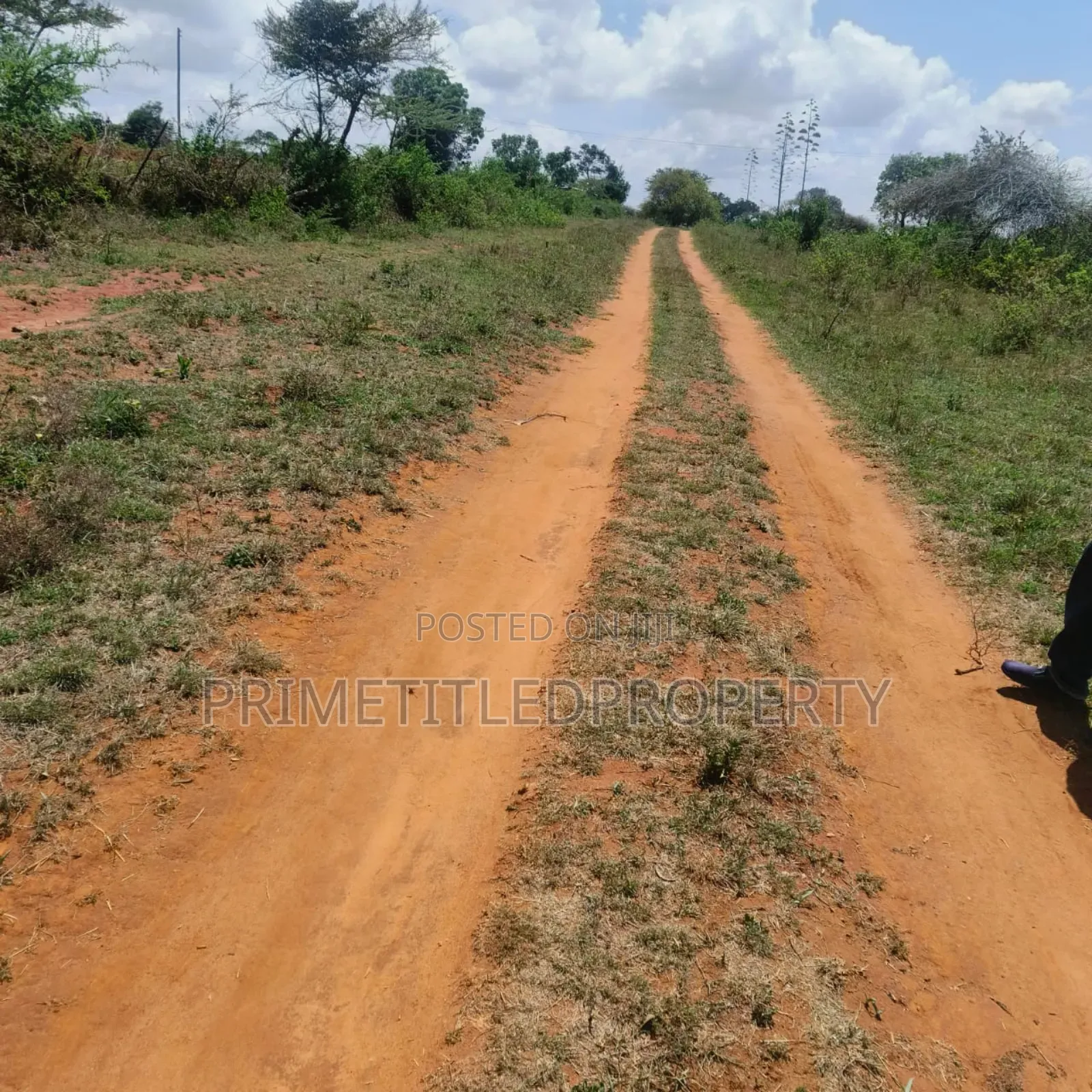 10.8 Acres on Red Soil