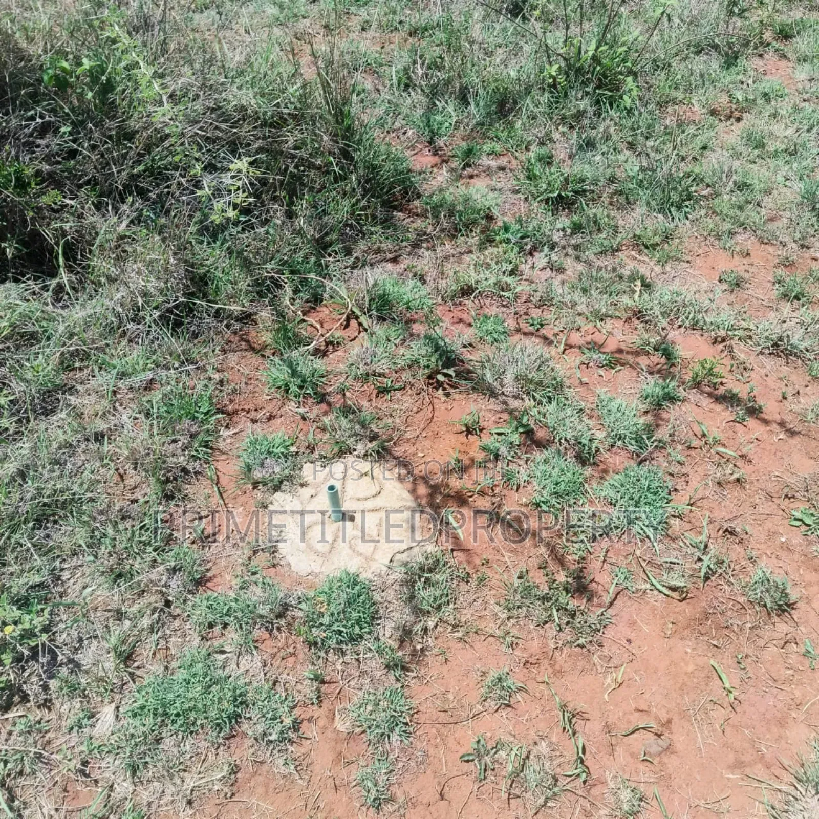 10.8 Acres on Red Soil