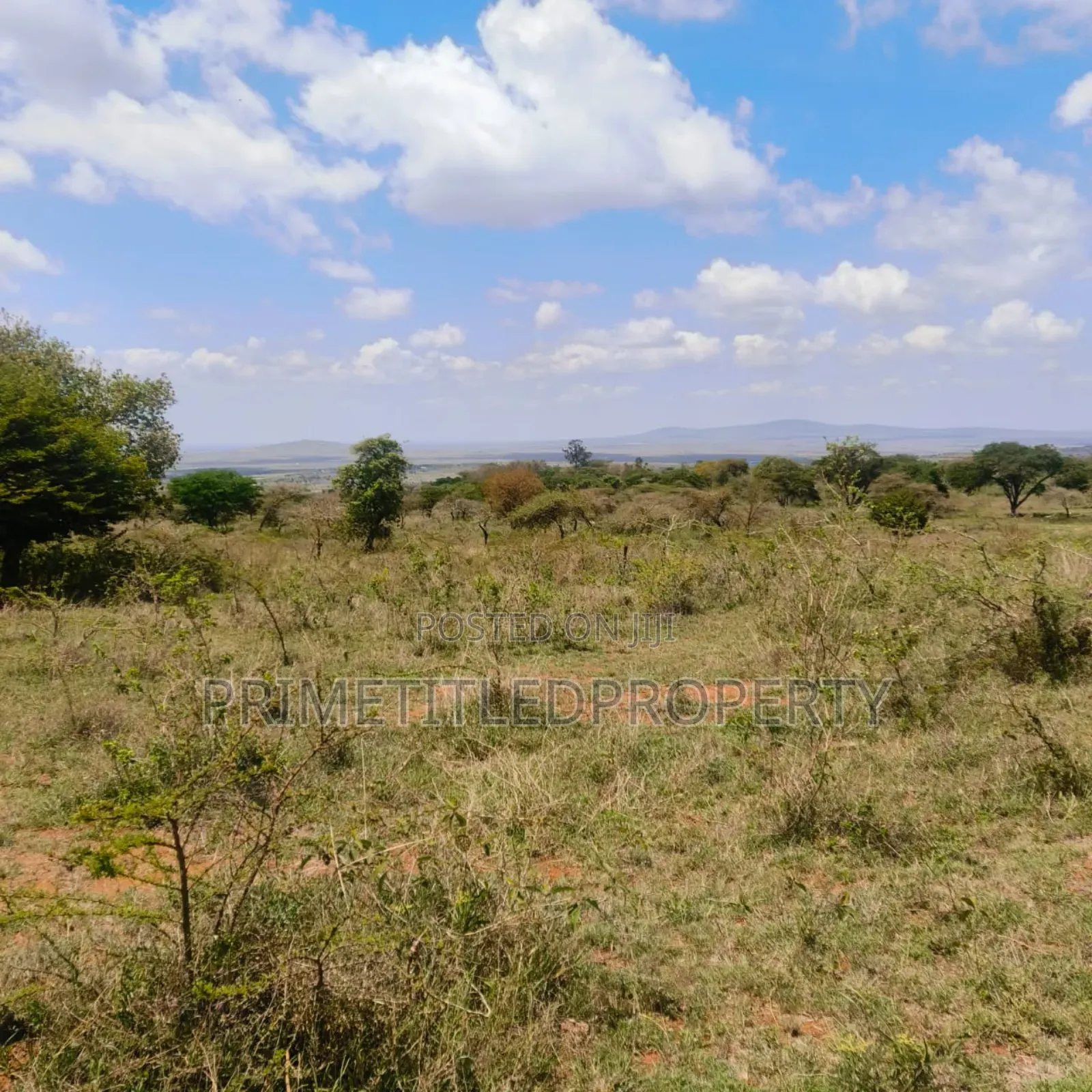 10.8 Acres on Red Soil