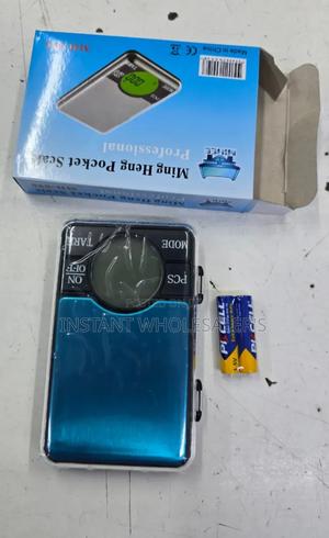 Mini Pocket Accurate Scale - main view