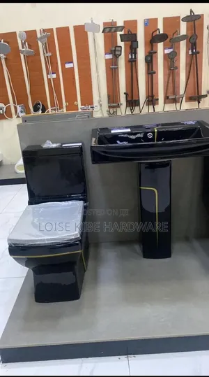Black and Gold Toilet Available