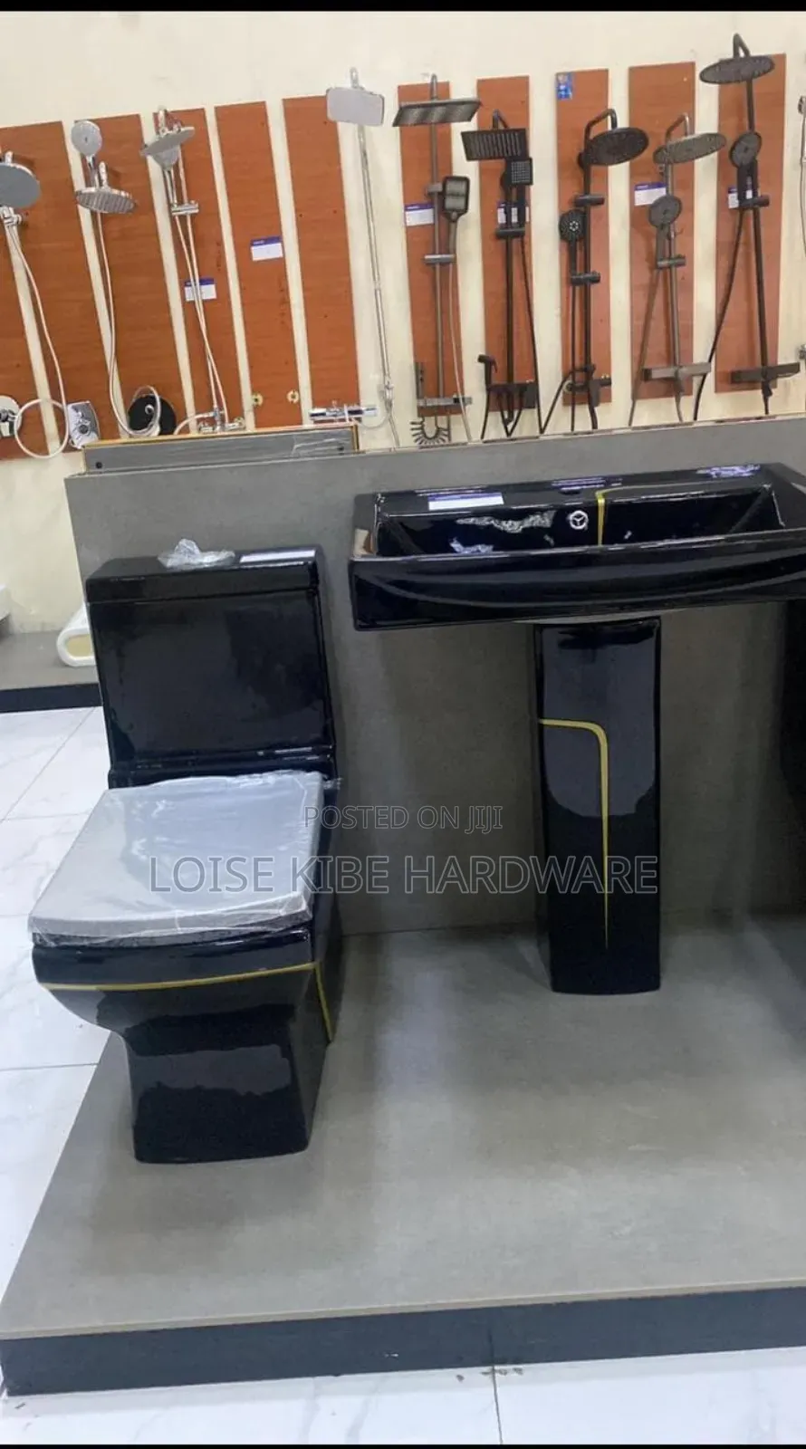 Black and Gold Toilet Available