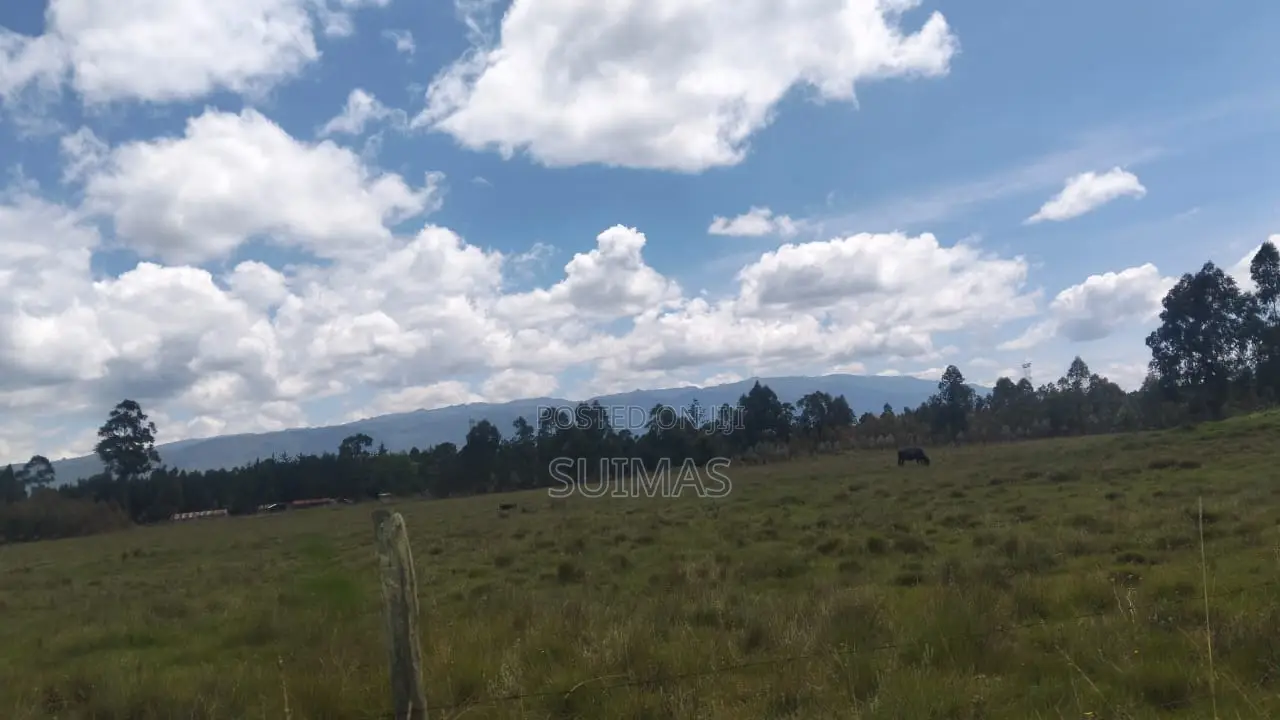 Brothers Land At Kaibaga Near Major Njoroge's Land.
