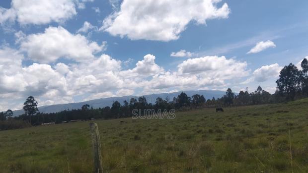 Brothers Land At Kaibaga Near Major Njoroge's Land.