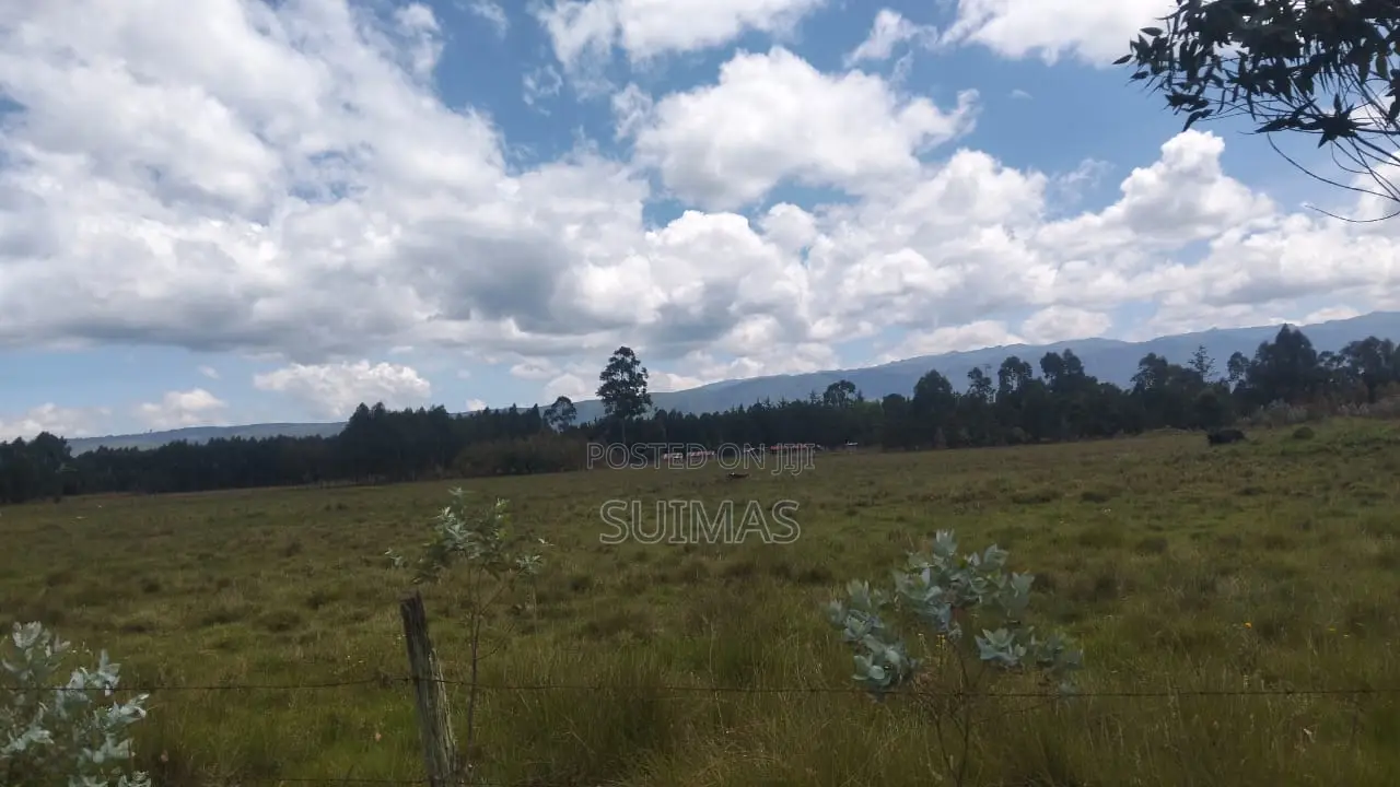 Brothers Land At Kaibaga Near Major Njoroge's Land.