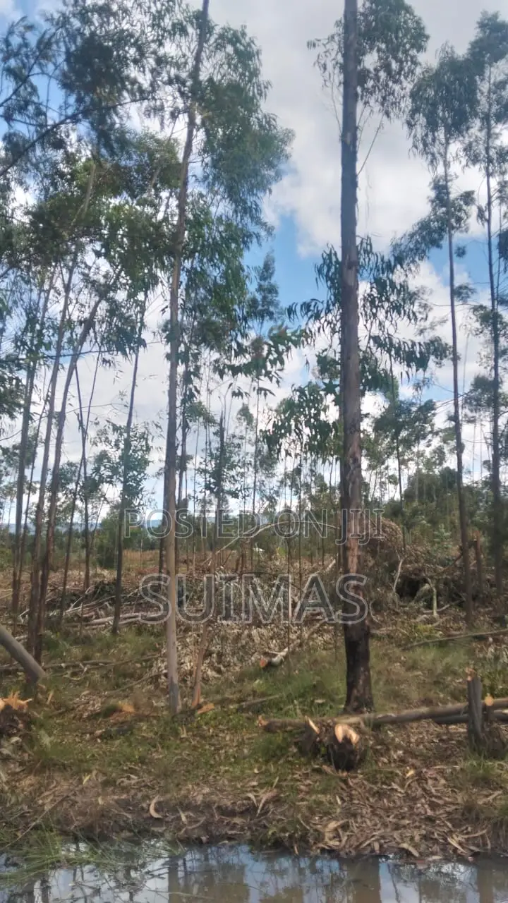 Land For Sale In Bathas Area Olkalou