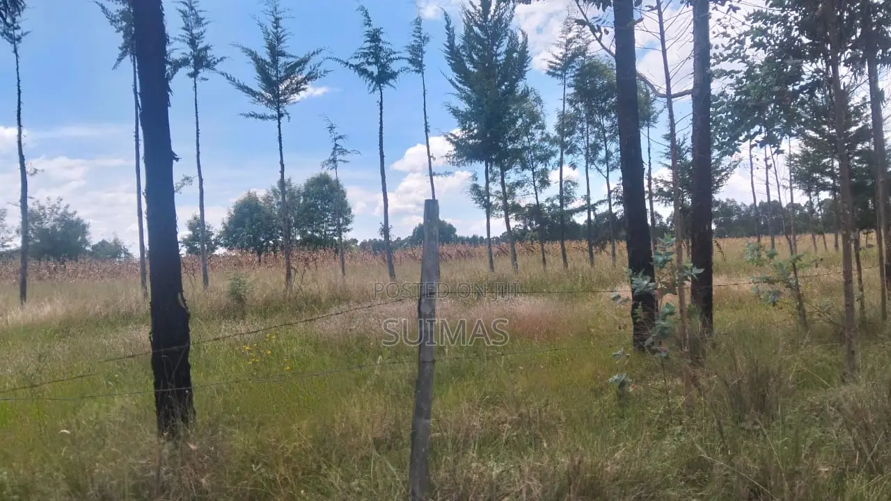 Land For Sale In Bathas Area Olkalou