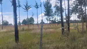 Land For Sale In Bathas Area Olkalou