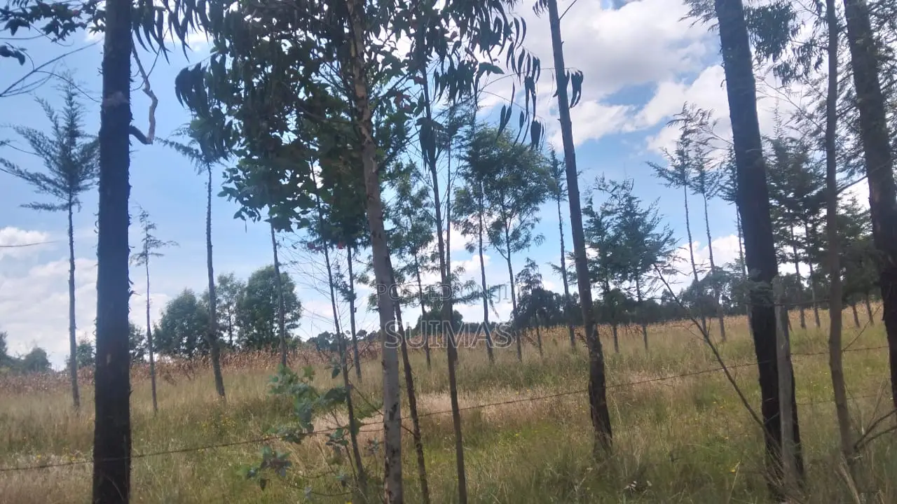 1 Acre Land For Sale In Bathas Olkalou