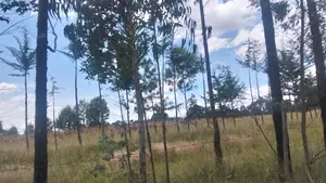 1 Acre Land For Sale In Bathas Olkalou