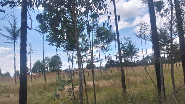 1 Acre Land For Sale In Bathas Olkalou - main view