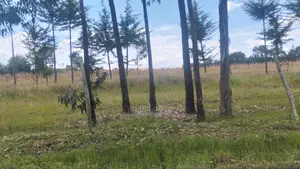 Cheap Land for Sale in Kabubani Nyandarua