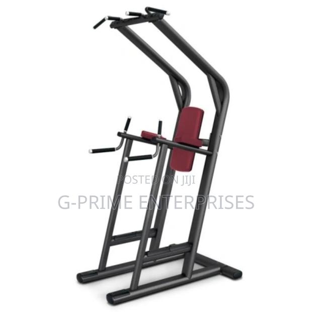 Chin Up Dip Leg Raise Machine