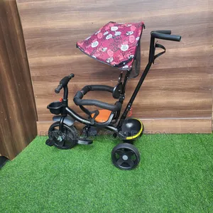 Smartshield Tricycle With Canopy