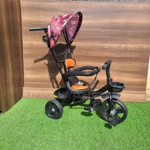 Luxdrive Tricycle With Canopy.