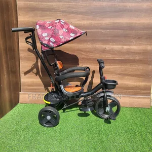 Easysteer Tricycle With Canopy.