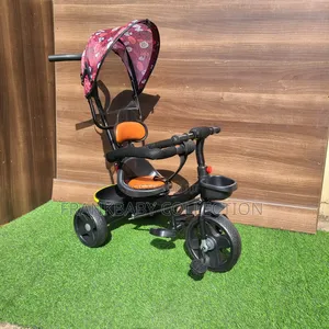 Easysteer Tricycle With Canopy.