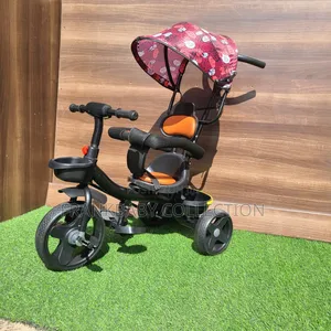 Easysteer Tricycle With Canopy.