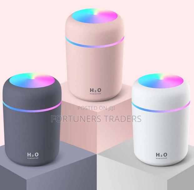 300ml Sleek Design Portable Dual-Mode Nordic Humidifier